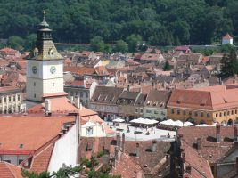 arbre_de_joie_brasov01