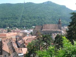 arbre_de_joie_brasov02