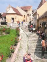 arbre_de_joie_rasnov_01