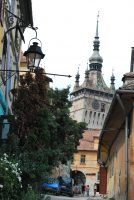 arbre_de_joie_sighisoara_01