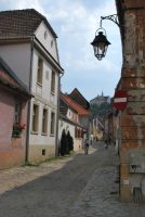 arbre_de_joie_sighisoara_02