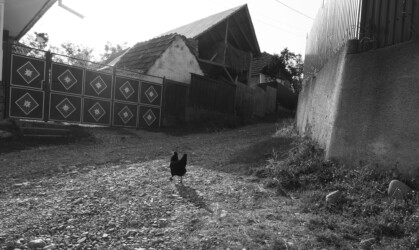 Dans les rues de Purcareni / In the streets of Purcareni Dans les rues de Purcareni / In the streets of Purcareni