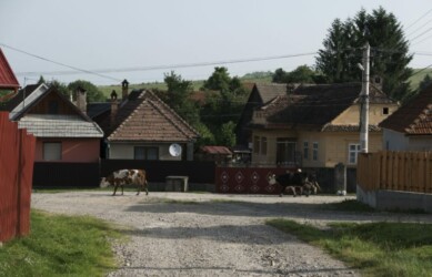 Dans les rues de Purcareni / In the streets of Purcareni